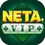 Neta VIP Logo